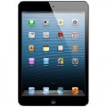 Apple - Pre-Owned iPad mini - 16GB - Space Gray