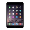 Apple - Pre-Owned iPad mini - 16GB - Space gray-5656321